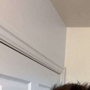 Meet your Posher, Taijun